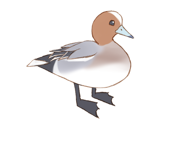 鳥のイラストのtwitterイラスト検索結果 古い順
