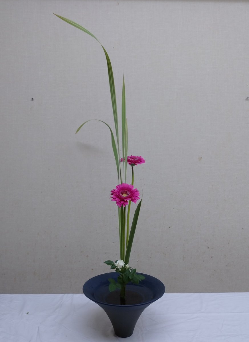 いずみ いけばなの日の花がガーベラということで 稽古でガーベラを使ってみました 先生にアドバイスをいただきながら 何とか出来た 生花新風体でガーベラを使うのは初めてでした 6月6日はいけばなの日 日本いけばな芸術協会 希望の花 ガーベラ