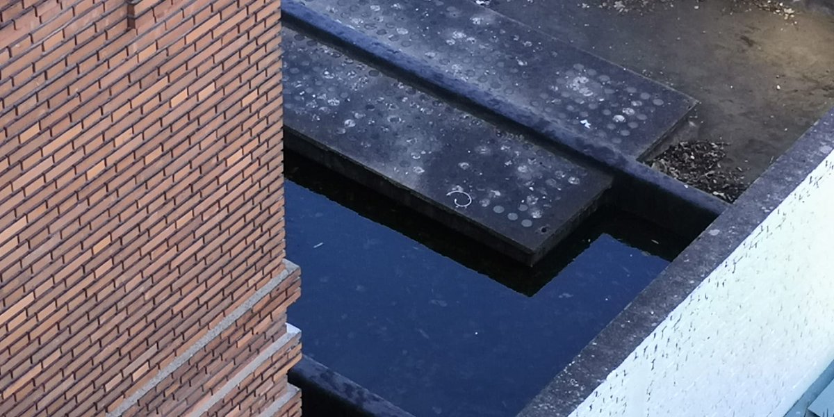 monestrol's tweet photo. @VilleColombes Il s'agit des toits de parking des bâtiments de Colombes Habitat Public situés avenue verrier. Ils sont en permanence plein d'eau stagnante... Qu'il ait plu récemment ou non...l'endroit idéal pour les moustiques tigre https://t.co/uTtEIyNsqv