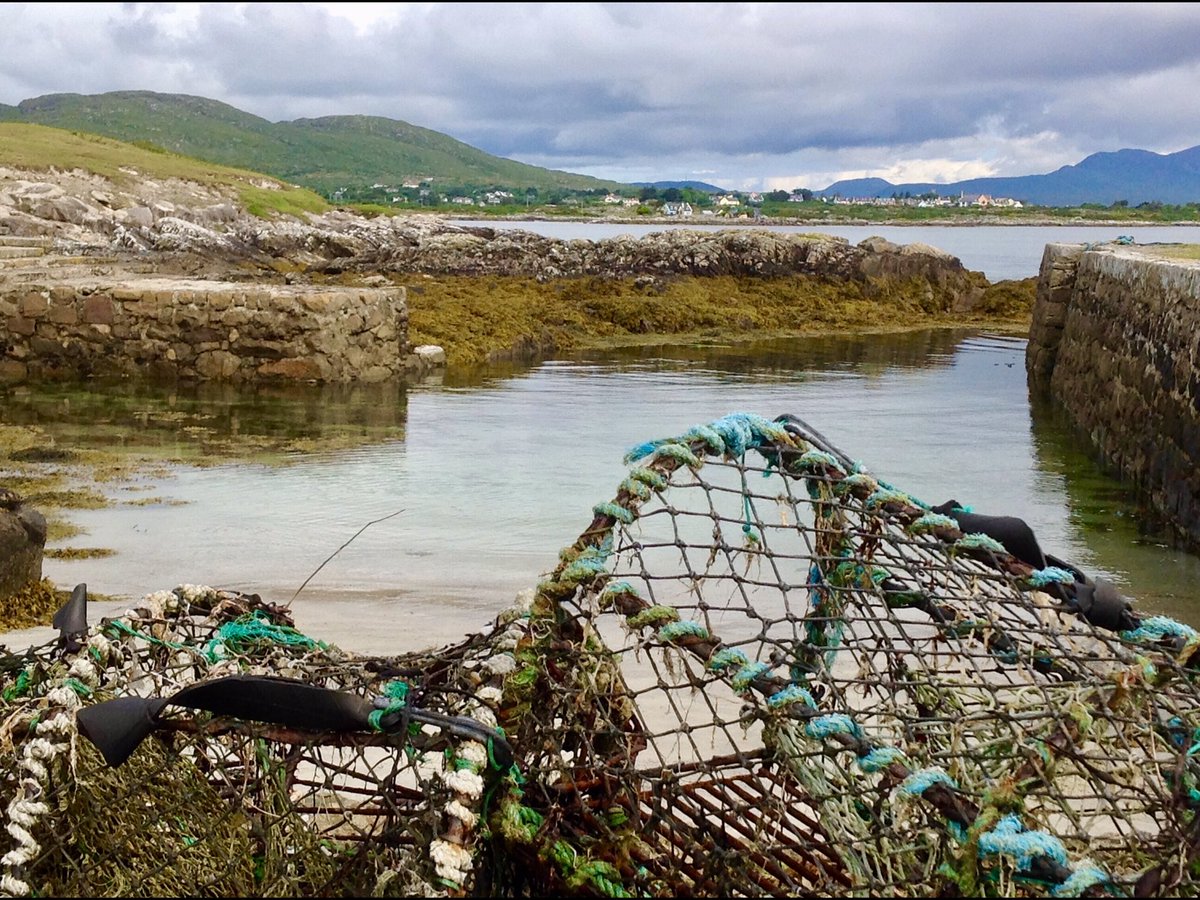 Tim Cooke tweet media