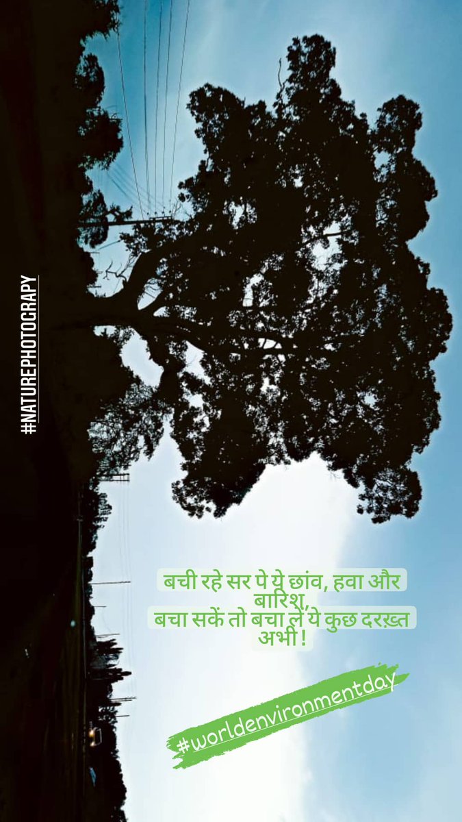 #WorldEnvironmentDay #NaturePhotography