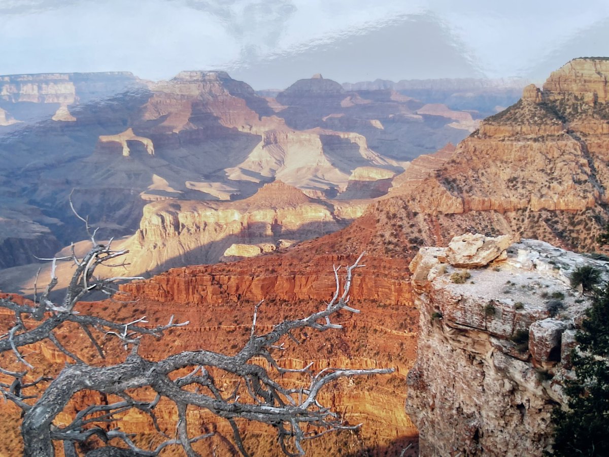 arushi_bat's tweet photo. World Environment Day 🌍 
📸 from Grand Canyon, Maldives, Bhutan https://t.co/kevLxJzOPl
