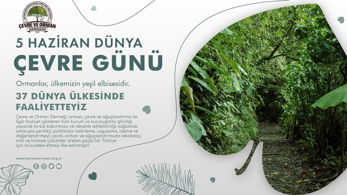 cevreormanorgtr's tweet photo. Ormanlar, ülkemizin yeşil elbisesidir.
5 Haziran Dünya Çevre Gününüz kutlu olsun.
#DünyaÇevreGünü https://t.co/pzZmX1ucPT
