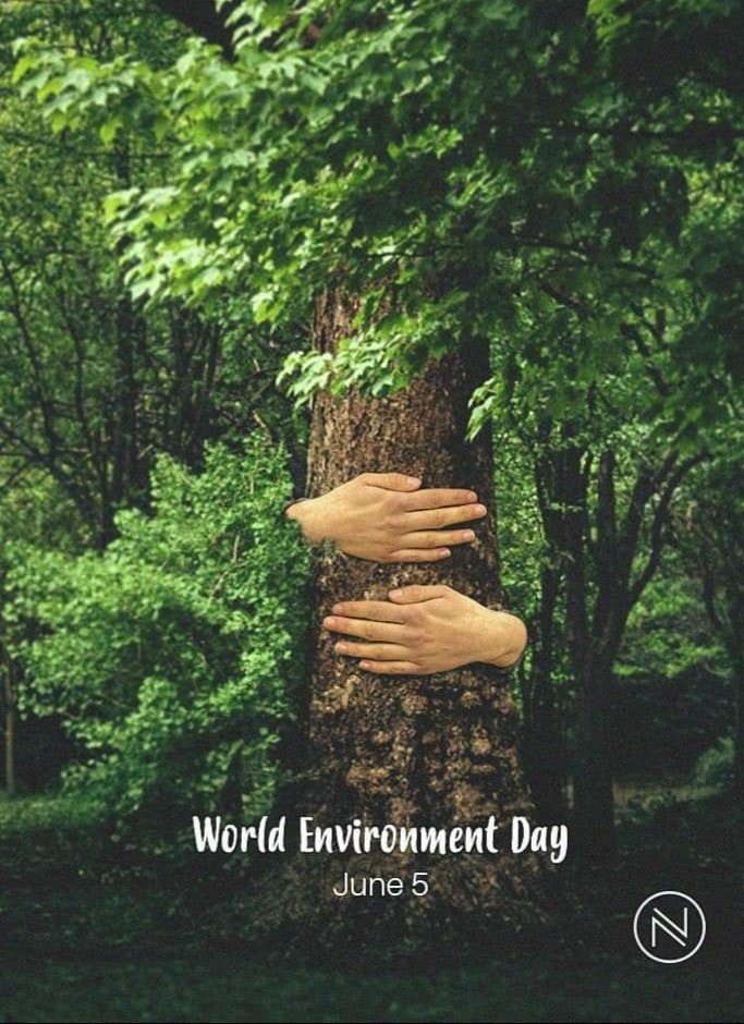 Happy World Environment Day.
@Happyenvironmentday
@HappySaturdays
#nature
#hope
#trees