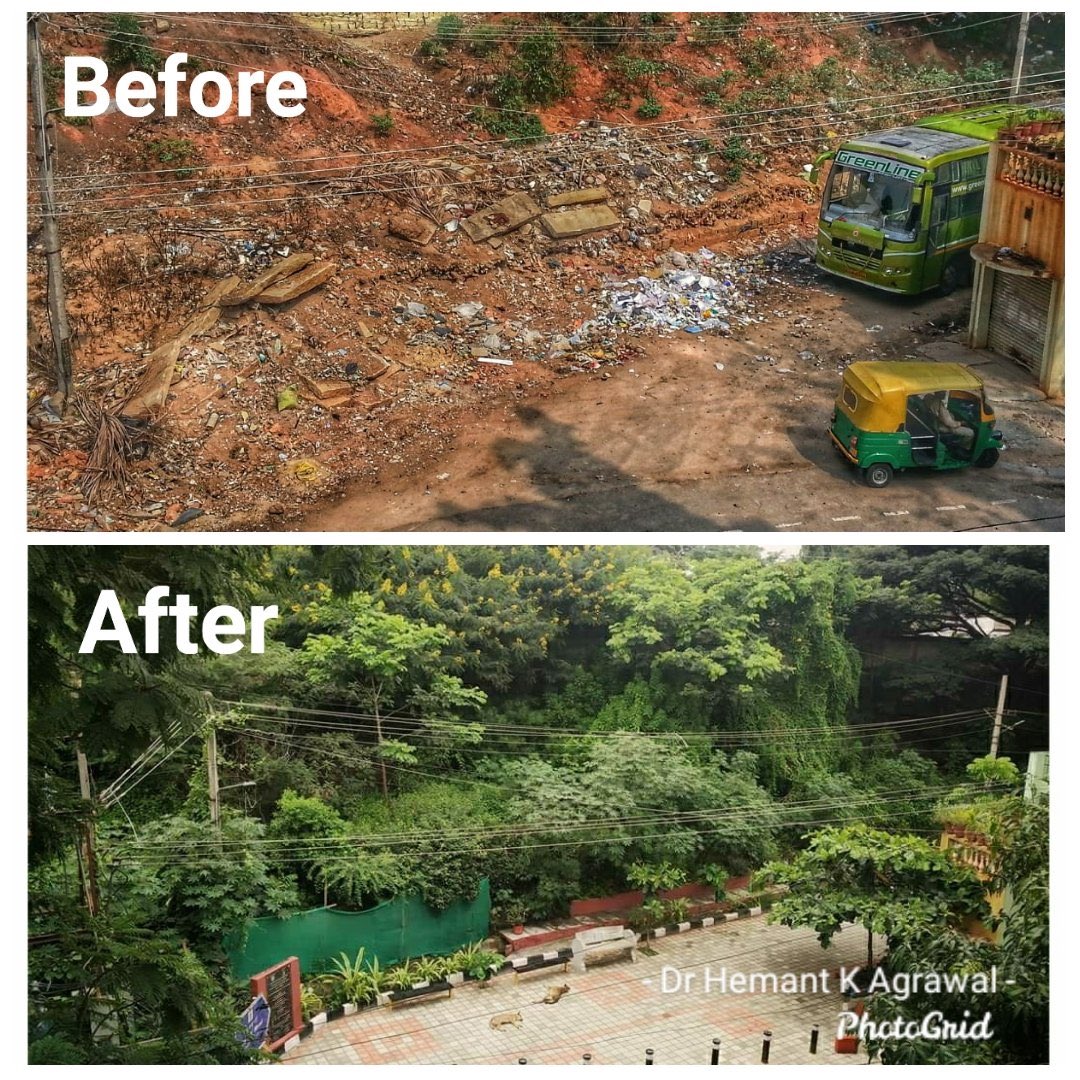 CrGundanna's tweet photo. My contribution to green cover, 
Took me a few years, every road sapling  done in domlur ward
.@blsanthosh @nalinkateel @PCMohanMP @arunbpbjp @BlrNirmal @nrkbjp @RAshokaBJP @bjpblorecentral @bjpmanju107 @Dasharathvailay @BJPKarSMITCell @Go_greenBUG 
@BangaloreGreen @aranya_kfd https://t.co/HOYT3kmIHk