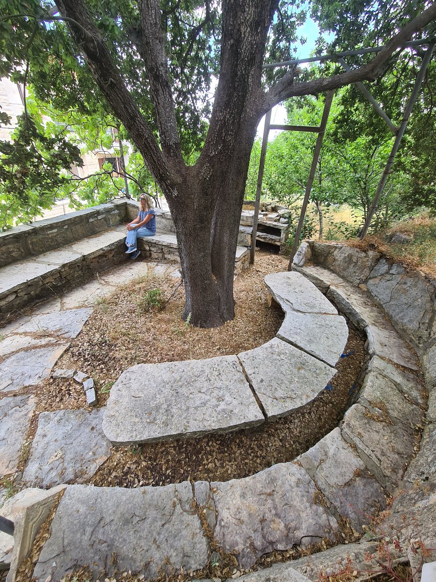 LarissaAounSky's tweet photo. Under the Oak tree .. A Saturday in Nature #Meshmesh #Lebanon https://t.co/YD58cC83Gl