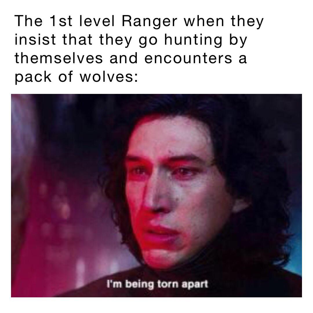 DND Memes on Twitter "Alright, you’re taking 4 attacks at advantage