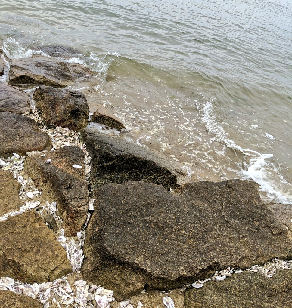 Omp イラスト 午前中は家族で釣り 一人釣りデビューを果たしましたが 全く釣れず帰ります 笑 めげずにまた行きます リプ夜返します ボウズ