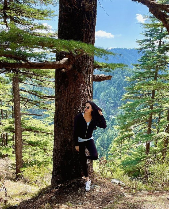 RituVarma_FC's tweet photo. Protect, Preserve &amp; Prosper 🌍 
#WorldEnvironmentDay https://t.co/FyHZt8tUDC