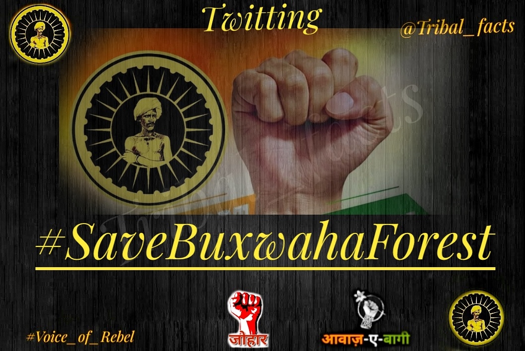 Tribal_facts's tweet photo. In the life and death, the govt-capitalist is choosing death.
If lakhs of these Buckwheat trees were cut, then people would become factories in that place; Will ruin the earth and I see the death; It's time to take care, nature is going to answer everyone.
#SaveBuxwahaForest https://t.co/AS21MigtQR