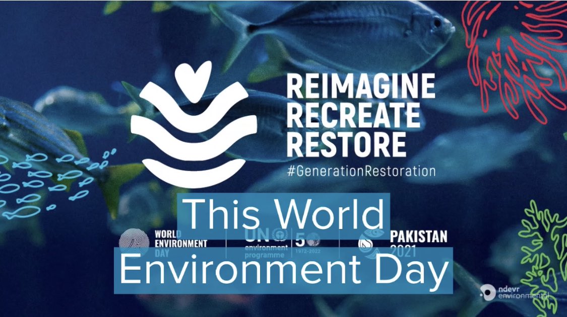 AnthesisAU's tweet photo. Celebrating World Environment Day today, we asked our team what they would wish for. Super inspiring and love the healthy dose of optimism 💚
https://t.co/MehtKj58DO #WorldEnvironmentDay  #WorldEnvironmentDay2021 #GenerationRestoration #EnvironmentDay #ClimateAction https://t.co/o0AGNIWOqP
