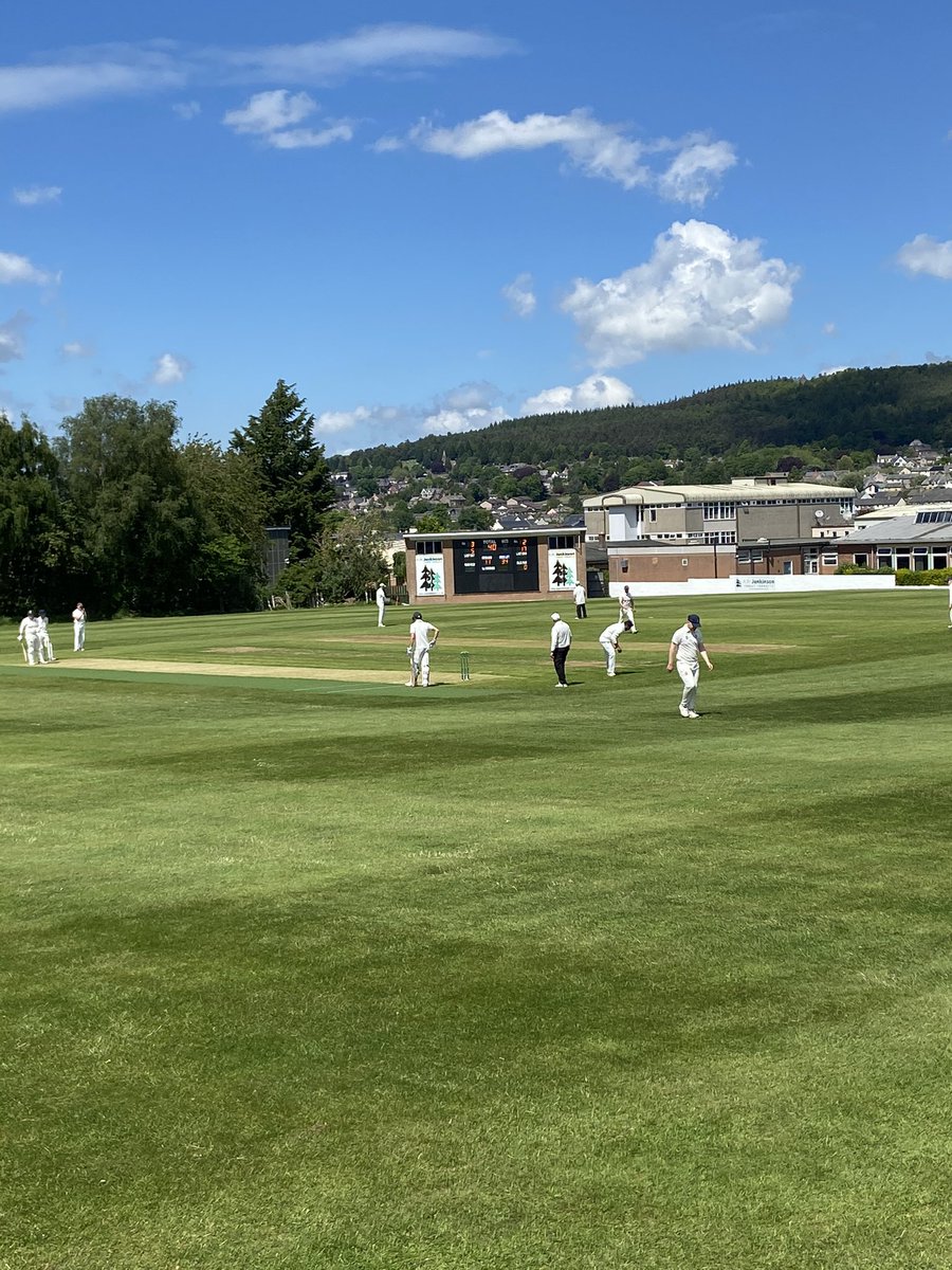 Sharon Crisp tweet media