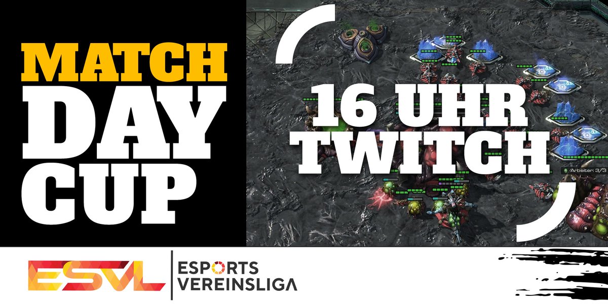 ESPORTS VEREINSLIGA tweet media