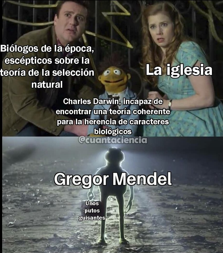 Dabiz 🐀 tweet media