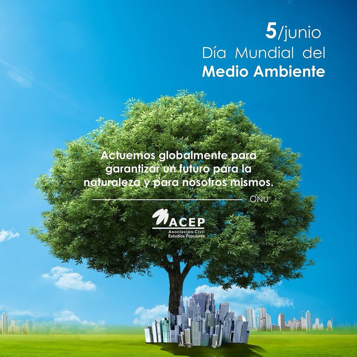 ayerasquetti's tweet photo. #DiaMundialDelMedioAmbiente 

Actúa pensando en global, consumí productos sustentables, reclamá por políticas que protejan al ecosistema, cuida el agua y por sobre todo acordate de las 3 R:

♻️Reducir
♻️Reutilizar
♻️Reciclar

Podemos salvar el planeta, cada gesto cuenta! https://t.co/2jMpPkBS4F