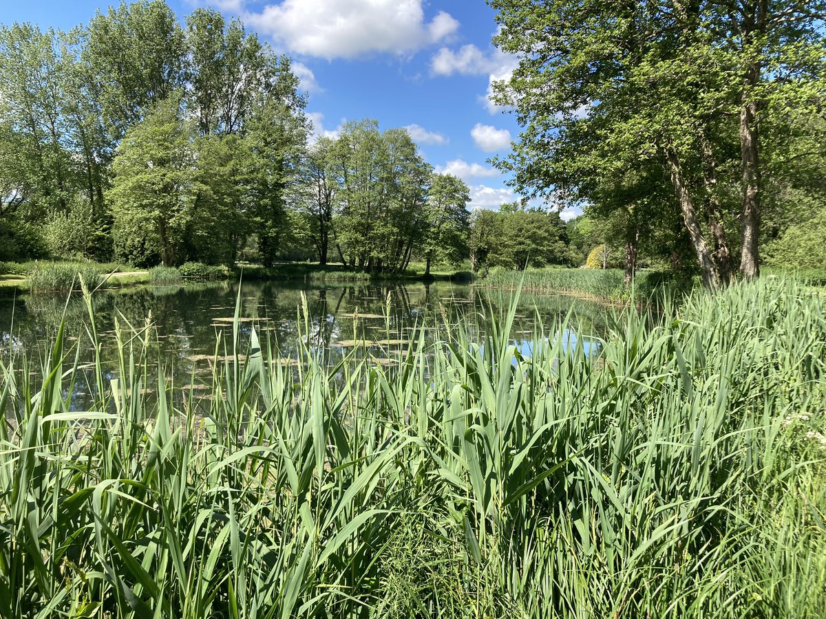 BWS Fishing tweet media