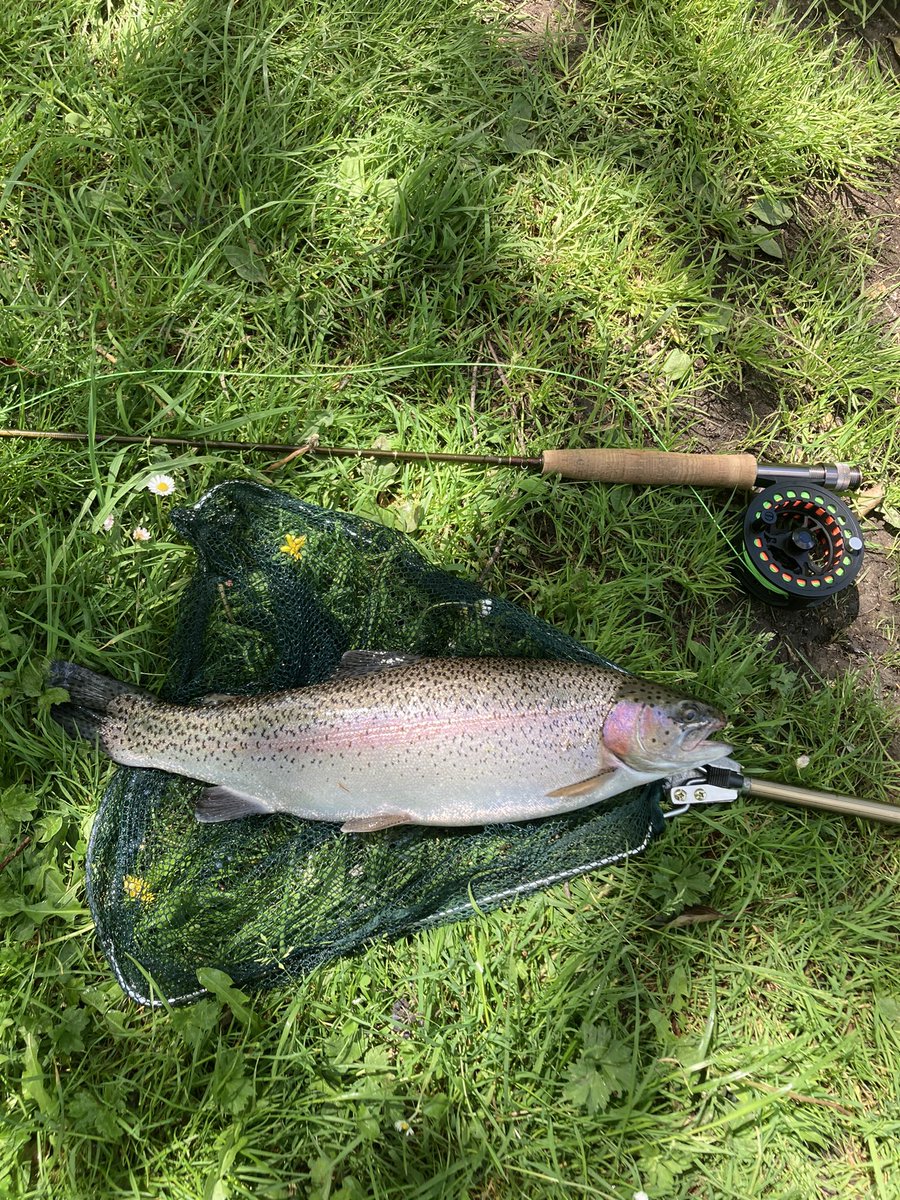 BWS Fishing tweet media