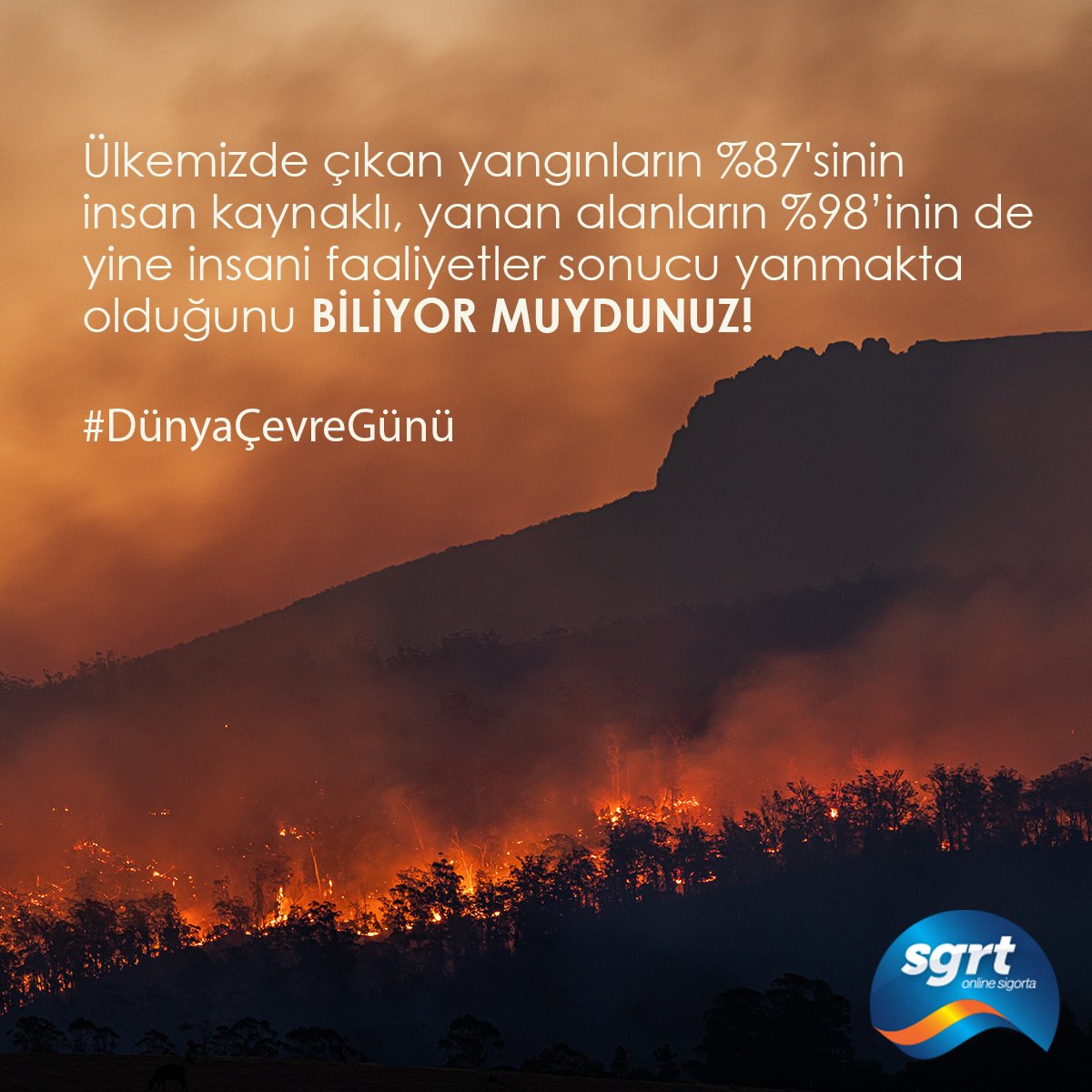 sgrtsigorta's tweet photo. Bugün #5HaziranDünyaÇevreGünü !
Faaliyetlerimizin önemli bir kısmını online platforma taşıyarak kağıt ve enerji tüketimimizi minimuma indiriyor ve #geridönüşüm , içinde bulunduğumuz #çevre, ulaşabildiğimiz temiz su ve yaşam kaynaklarımız için çabalıyoruz.
#SGRTOnlineSigorta #SGRT https://t.co/ggcYnK9QIZ