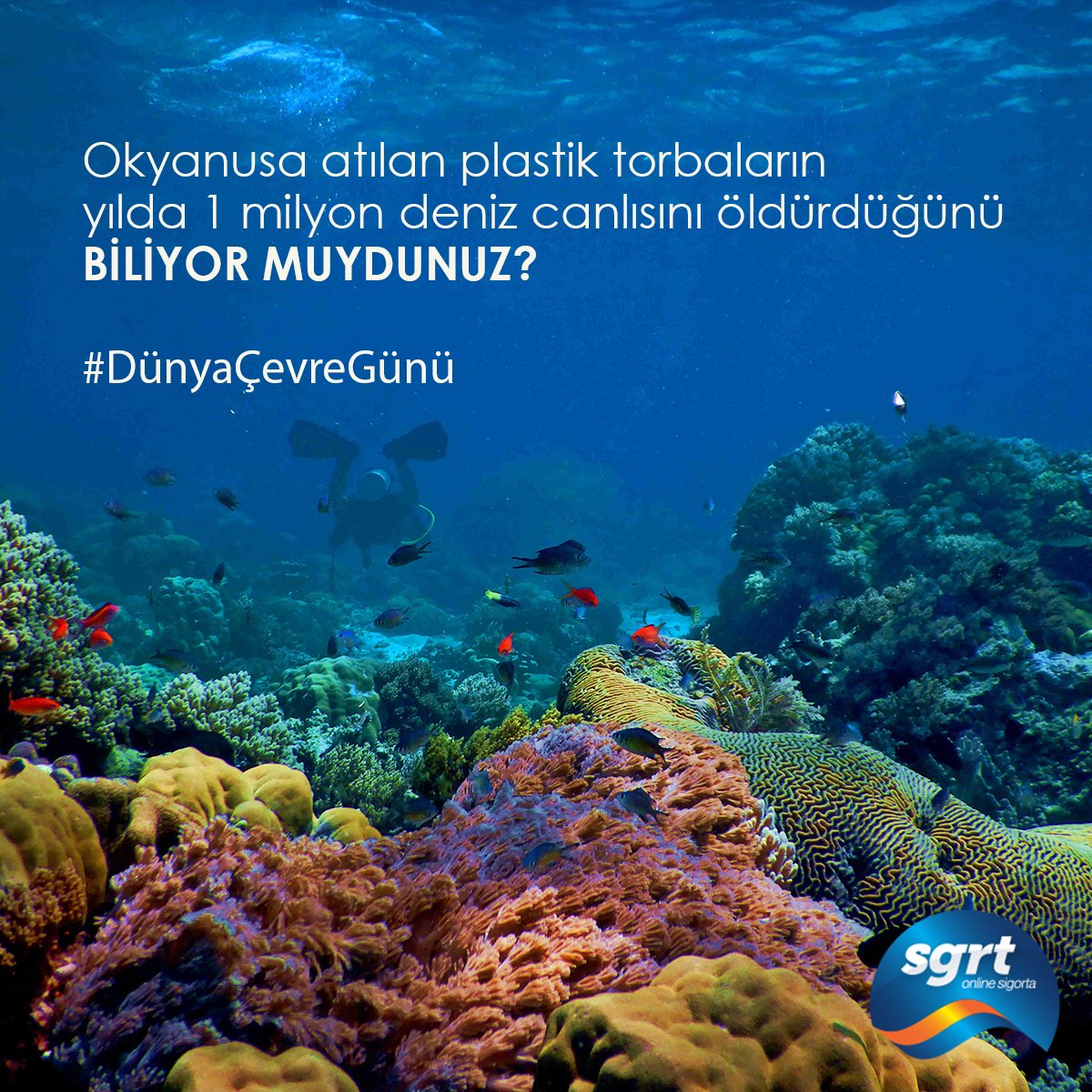 sgrtsigorta's tweet photo. Bugün #5HaziranDünyaÇevreGünü !
Faaliyetlerimizin önemli bir kısmını online platforma taşıyarak kağıt ve enerji tüketimimizi minimuma indiriyor ve #geridönüşüm , içinde bulunduğumuz #çevre, ulaşabildiğimiz temiz su ve yaşam kaynaklarımız için çabalıyoruz.
#SGRTOnlineSigorta #SGRT https://t.co/ggcYnK9QIZ