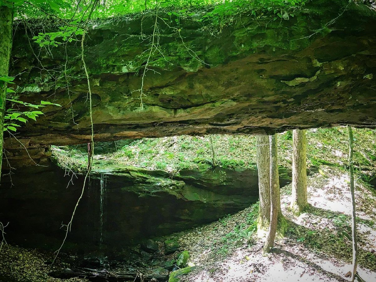 bigturtletrekk1's tweet photo. #fishtrap #dbnf #danielboonenationalforest #londonky
Longest arch in Laurel County. Fishtrap natural bridge https://t.co/oYScM9ycmZ