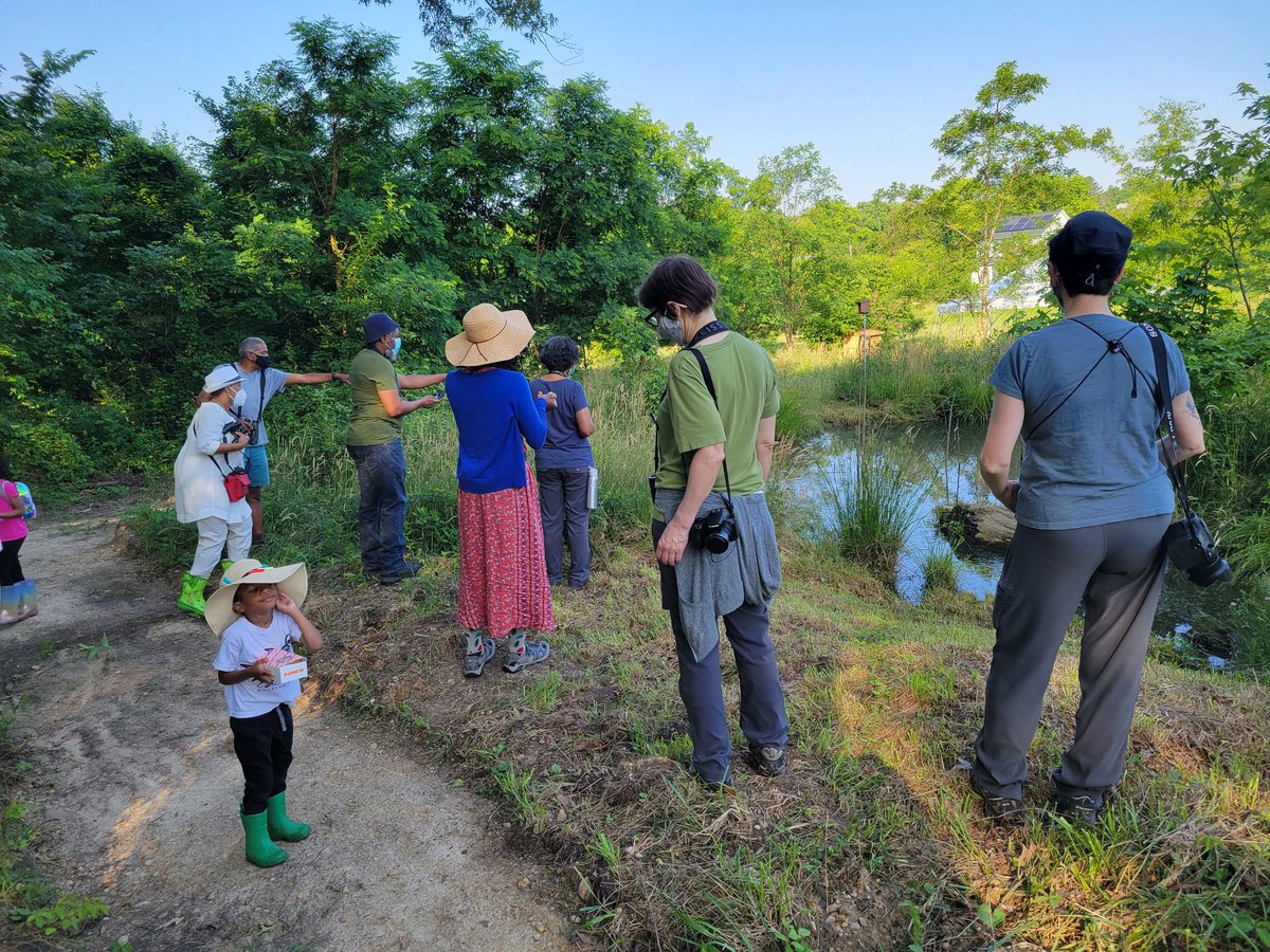 #BirdsofAFeather When birders look down and turn into herpers during #BlackBirdersWeek