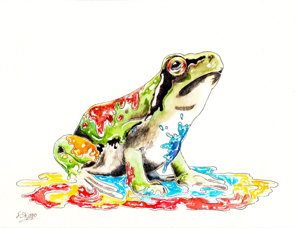 「絵の具遊びのニホンアマガエル
 #ペン画  #水彩  #カエル 」|ノーチのしっぽ研究所のイラスト