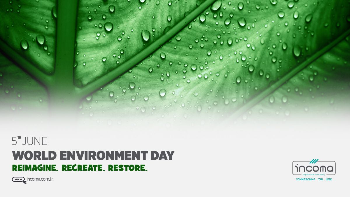 INCOMA_CxA's tweet photo. Only with healthy ecosystems can we enhance people’s livelihoods, counteract climate change and stop the collapse of biodiversity. Happy World Environment Day!

#GenerationRestoration #WorldEnvironmentDay #environment #ecosystem #nature #earth #fornature #gogreen #ecofriendly https://t.co/gWwngYY5oh