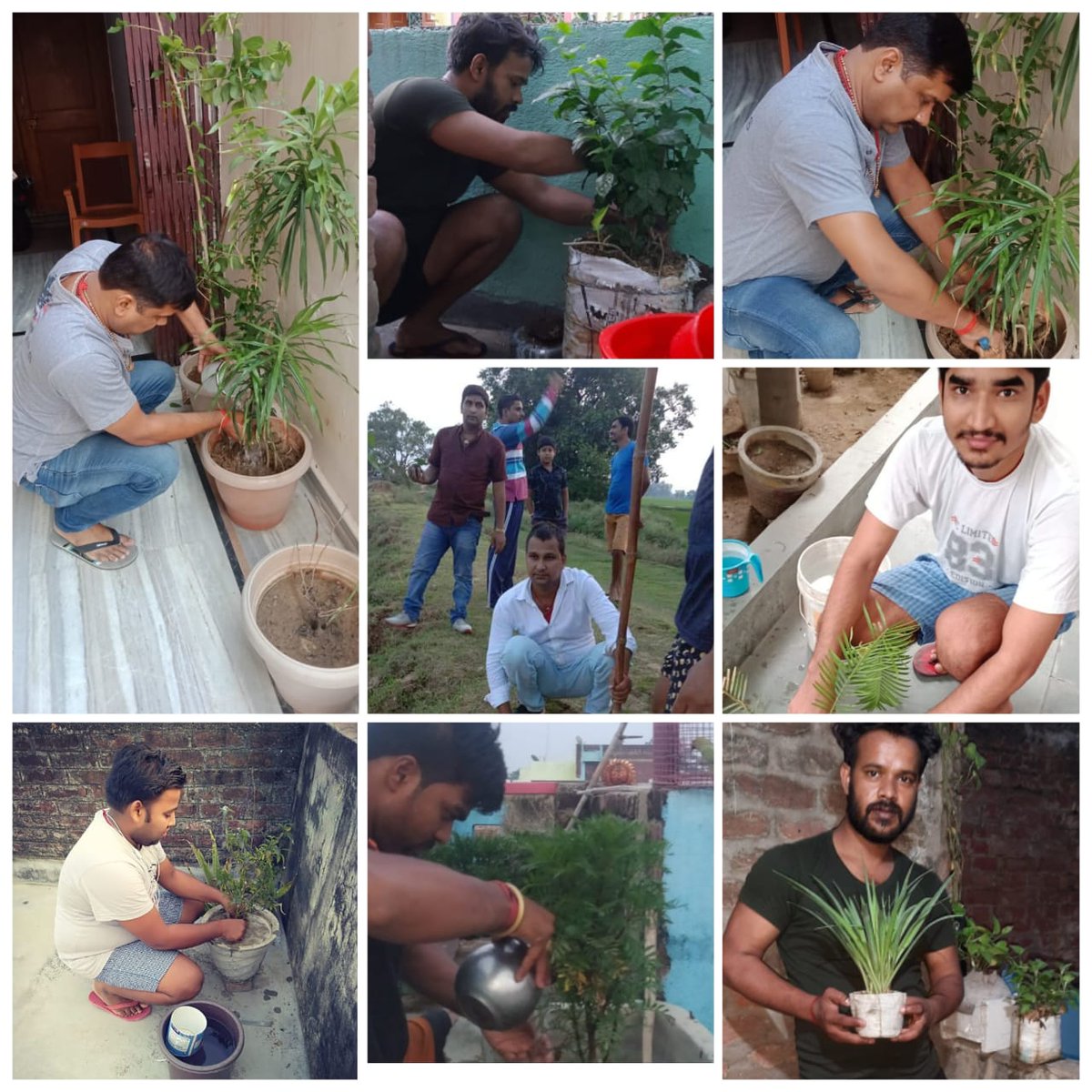 Indian Roti Bank tweet media