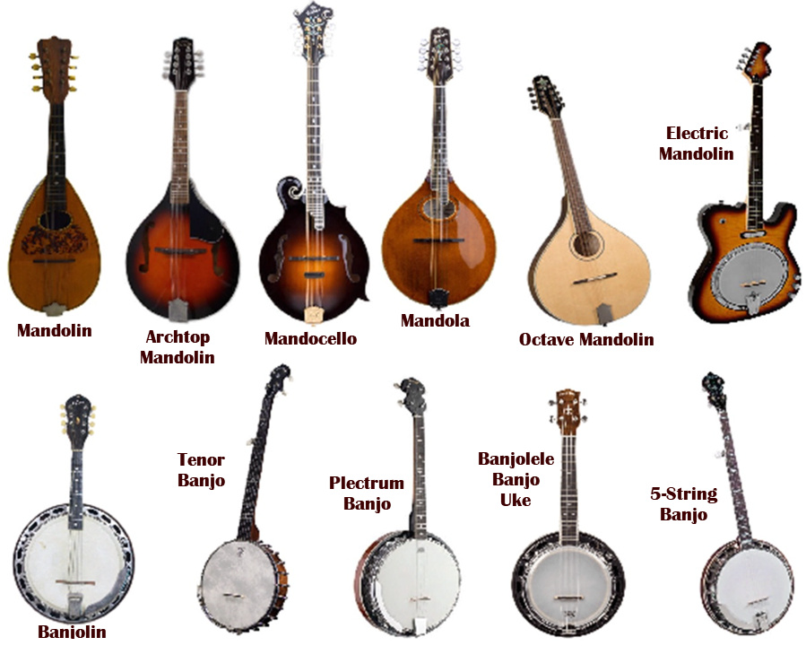 syntheway's tweet photo. #Banjodoline https://t.co/YKYKcQtwKA #MandolaVST #Mandocello #VirtualBanjo #VirtualMandolin #BanjoVST3 #MandolinVST3 #MandolinAudioUnit #Banjolin #BanjoAudioUnit #MandolinKONTAKT #MandolinEXS24 #MandolinVST #BanjoVST #TenorBanjoVST #PlectrumBanjoVST  #BanjoUkeVST #ArchtopMandolin https://t.co/Q5x6WswRAV