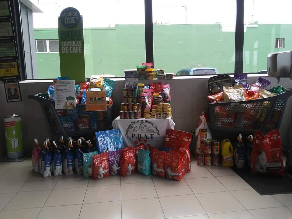 PBAT / Plataforma Bienestar Animal Tacoronte tweet media