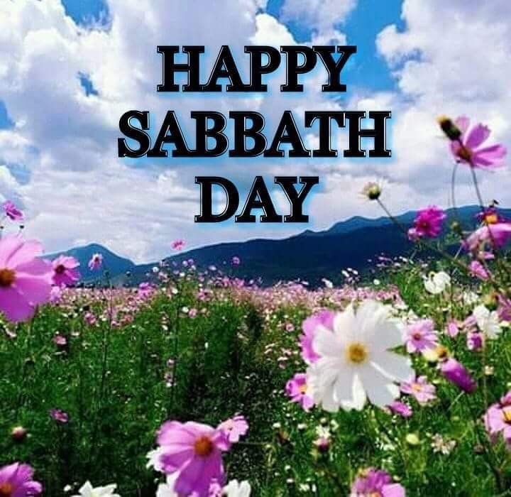 queenkiah's tweet photo. Visit https://t.co/a3pPLExkWJ for more info. #happysabbathday https://t.co/kN7lbz0Ujk