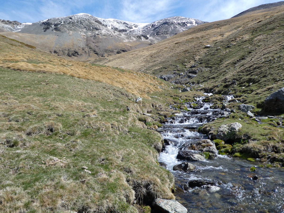 monteditorial's tweet photo. 51 rutes pels cims més emblemàtics de Catalunya
.
Puigmal⛰
.
#51cims #rutesautoguiades #excursionisme #gpstracks https://t.co/EACGIqTJ43