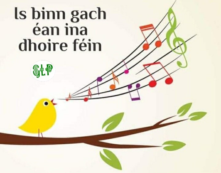 GaeilgeP's tweet photo. Is binn gach éan ina dhoire féin #éan #canadh #ceol #baile #dúchas #seanfhocal #gaeilge #gaeilgelepád #glp https://t.co/EMmPH5apEM