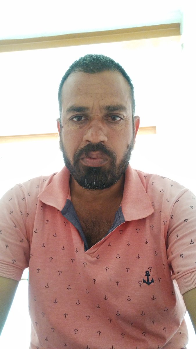 Malaram dewasi