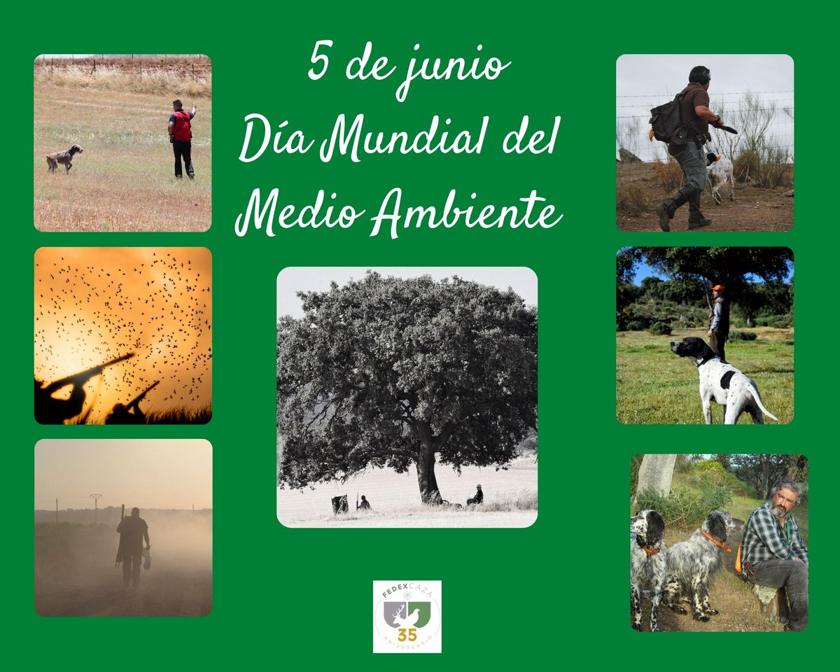 ✔️ La Caza es Vida
✔️ La Caza es Conservación
✔️ La Caza es Gestión
✔️ La Caza es Futuro

¡Feliz Día Mundial del Medio Ambiente! 
#diamundialdelmedioambiente #lacazaesvida