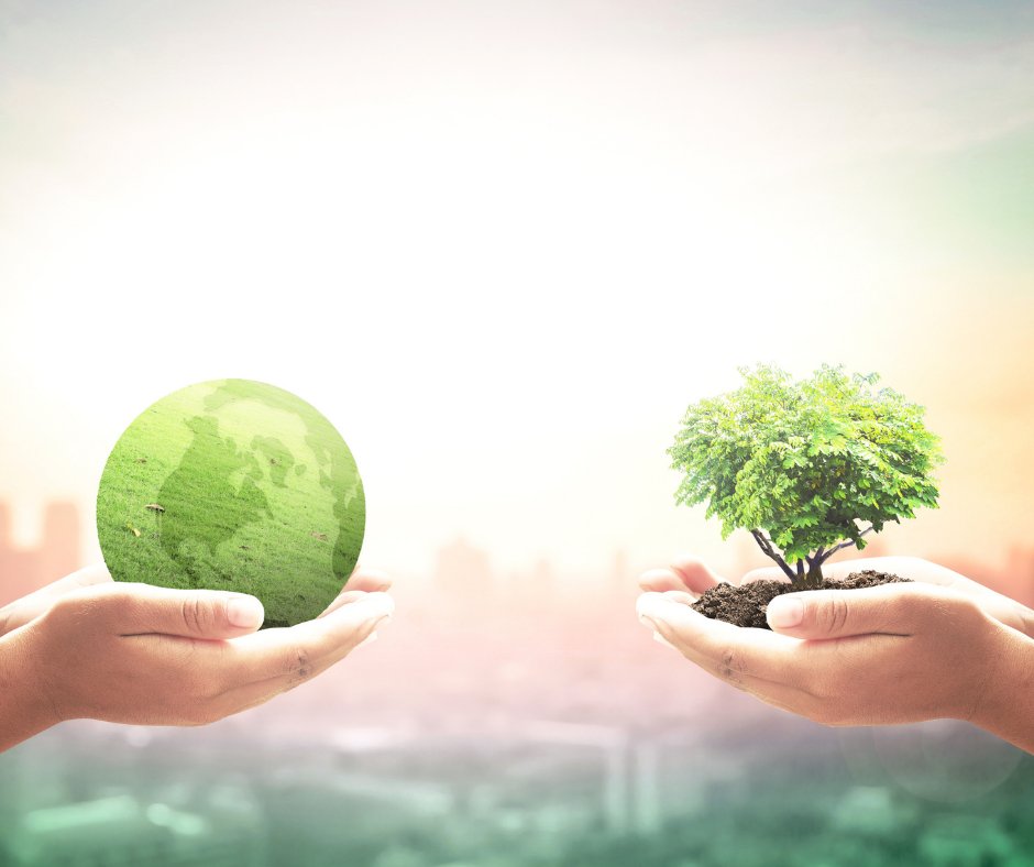 Aujourd'hui c'est la journée mondiale de l'environnement. ♻
C'est un jour important où il faut penser à notre planète. 🌍
Mais ça Hiflow le fait tous les jours !
Retrouvez notre engagement directement sur notre blog : 
transport.expedicar.com/pourquoi-passe…
#journeemondialdelenvironnement