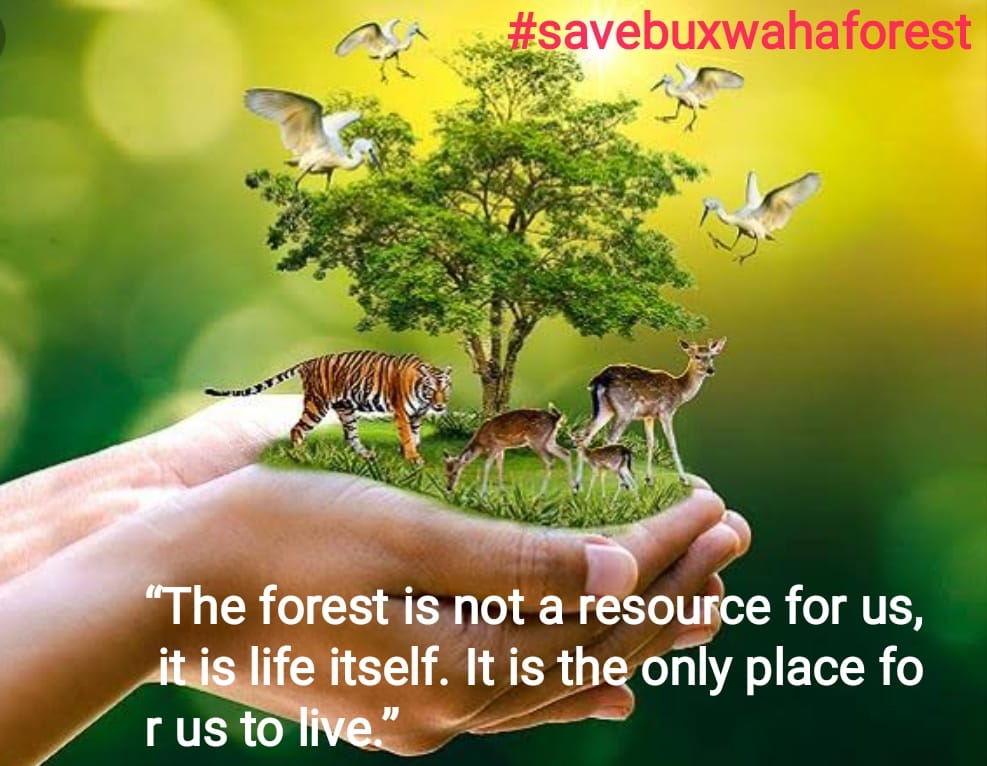 AhariArchana's tweet photo. #SaveBuxwahaForest #SaveBastar #SaveLakshadweep #INDIAWITHBUXWAHAFOREST #INDIASTANDWITHBUXWAHA #save_tribes #save_asiwasi #WorldEnvironmentDay #GoGreen https://t.co/xf39kWD96r