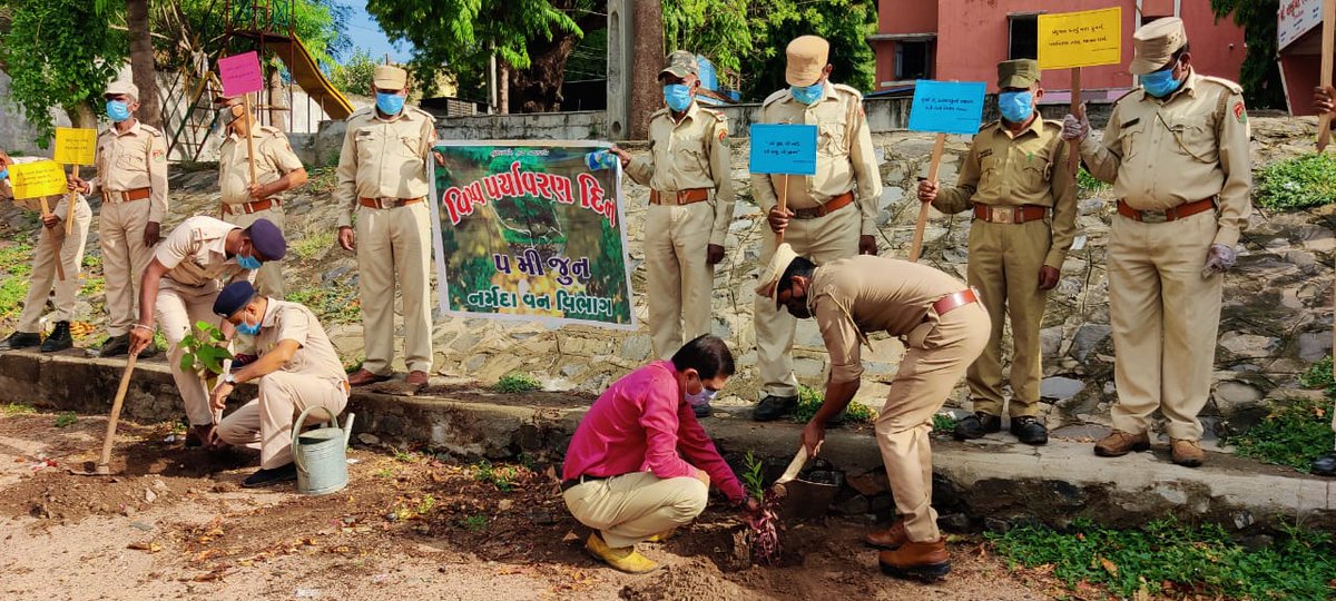 DCFNARMADA tweet media