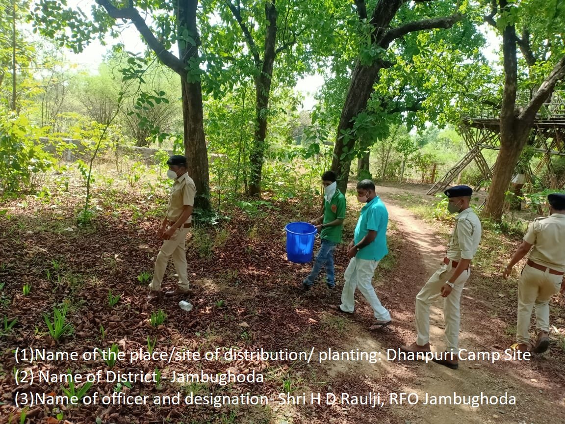 World environment day celebration at jambughoda wildlife sanctuary <a href="/CfVadodara/">CfWildlifeVadodara</a> <a href="/HoffPccf/">PCCF & HoFF, Gujarat State</a> <a href="/PccfWildlife/">PCCF Wildlife</a>