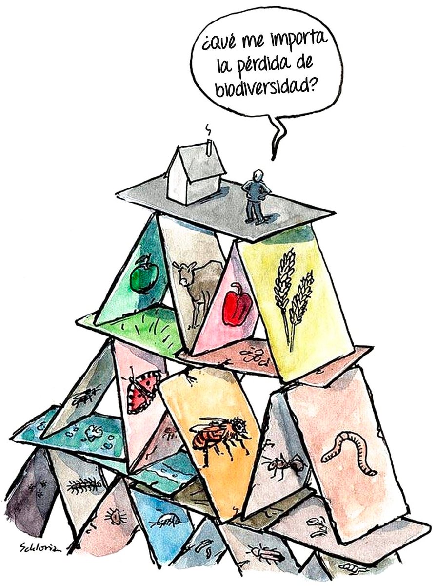 Si destruimos la #biodiversidad acabaremos con el sistema que sustenta la vida humana.