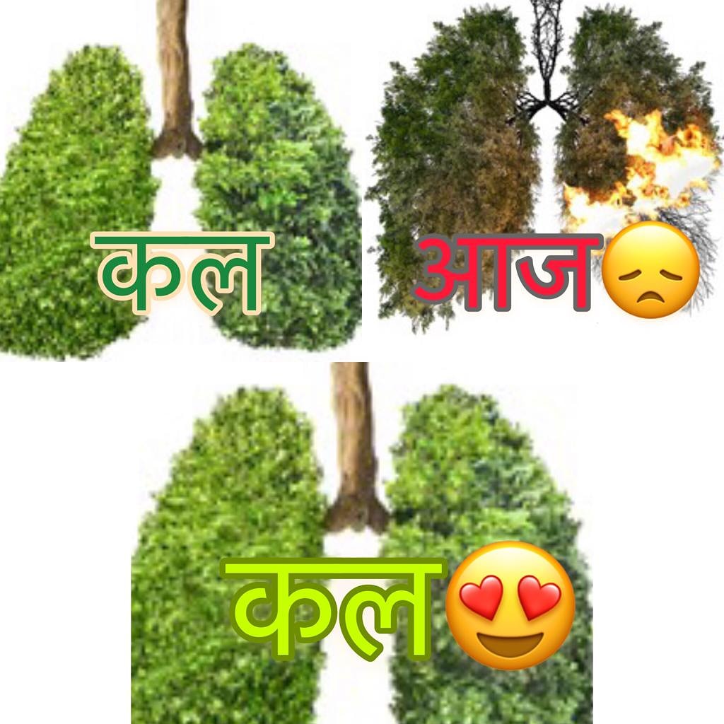 शायद अब समझ में आ जाए कि धरती माँ के फेफड़ों की जो हालत विकास की अंधी दौड़ में हमने कर दी है उससे अपनी धरती का दम  किस प्रकार घुटता होगा। 
धरती माँ के ऑक्सिजन प्लाण्ट ये पेड़ पौधे ही हैं। आइये संकल्प ले इन “plants” को बचाने और बढ़ाने का 🌳🌳
#आओपेड़लगाएँ 

#NaturalOxygenPlants 🪴