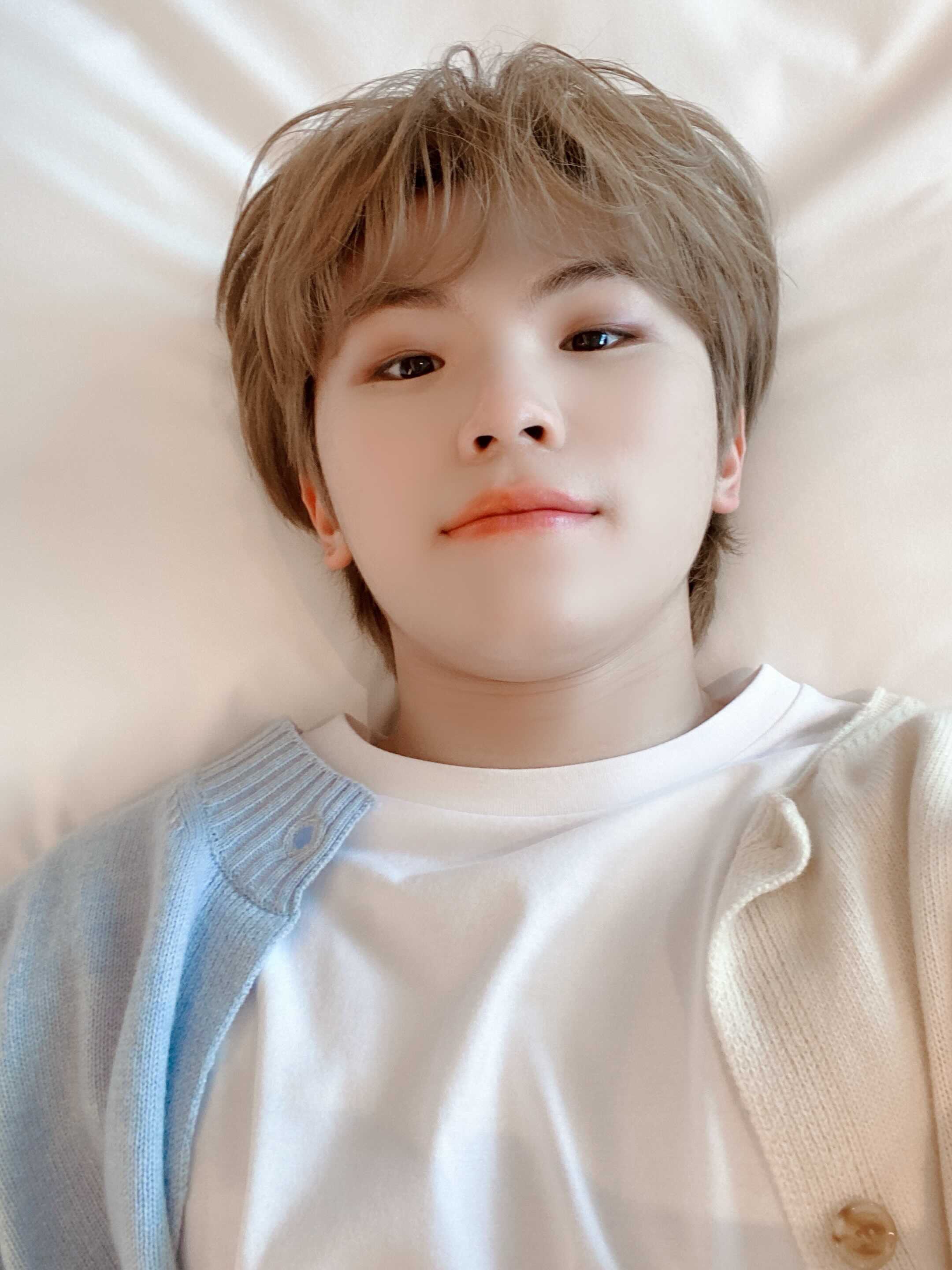 SEVENTEEN ウジ 今 話題 の 人気 商品 SEVENTEEN ウジ編】小柄な大黒柱！ セブチ