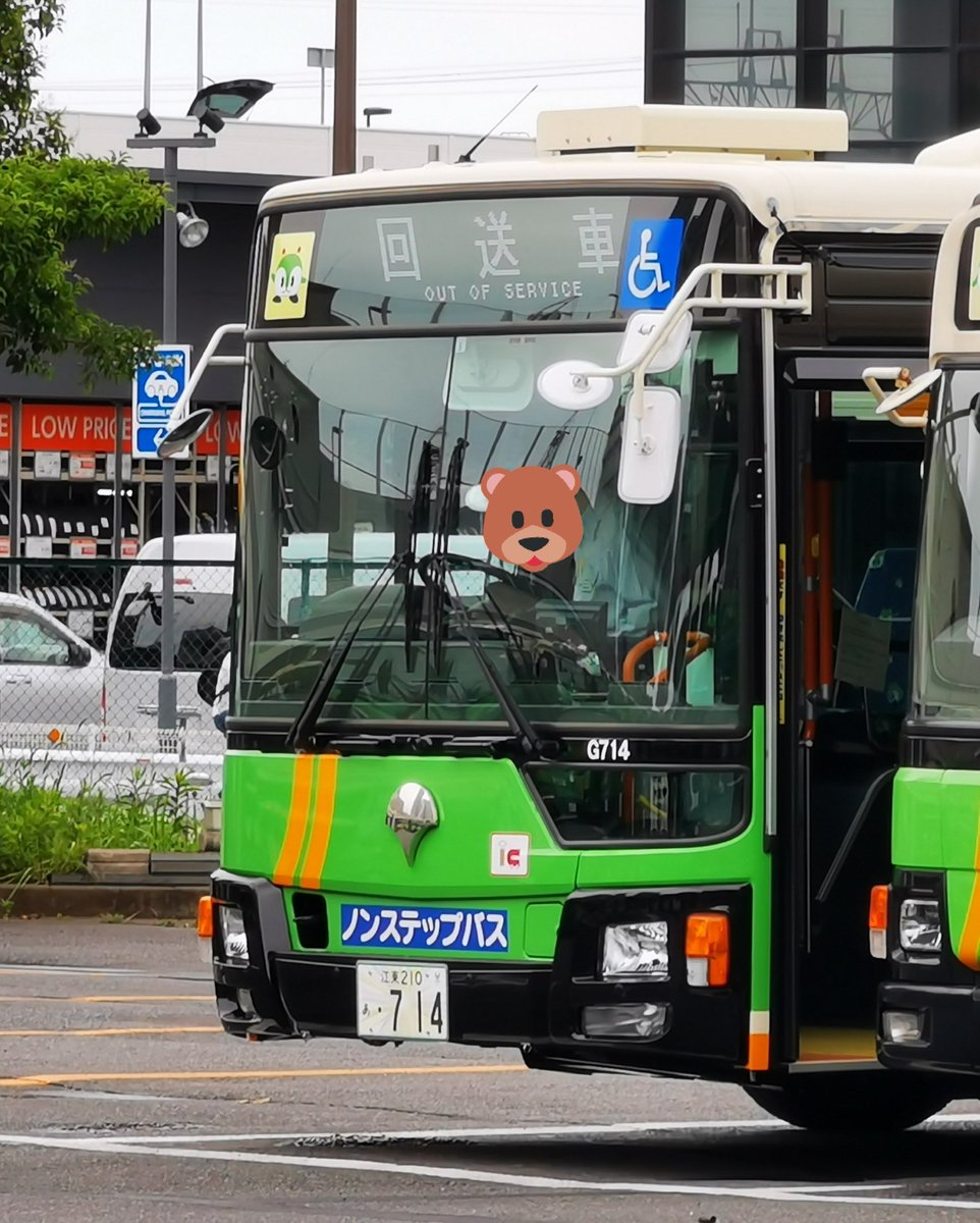 くますけ 1301X1666_dusty_rose_nik_A1.