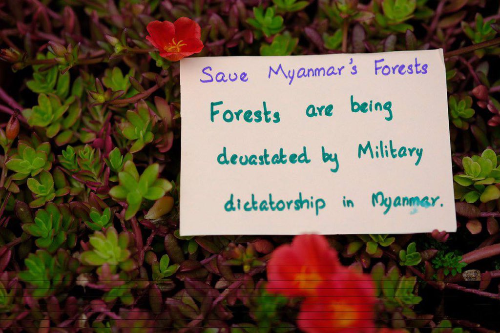 Strike in Garden by residents of Taunggyi against Military Junta on #WorldEnvironmentDay as forests in Myanmar are being devastated by Military Dictators. #LessTalkMoreActionsASEAN #June5Coup #WhatsHappeningInMyanmar