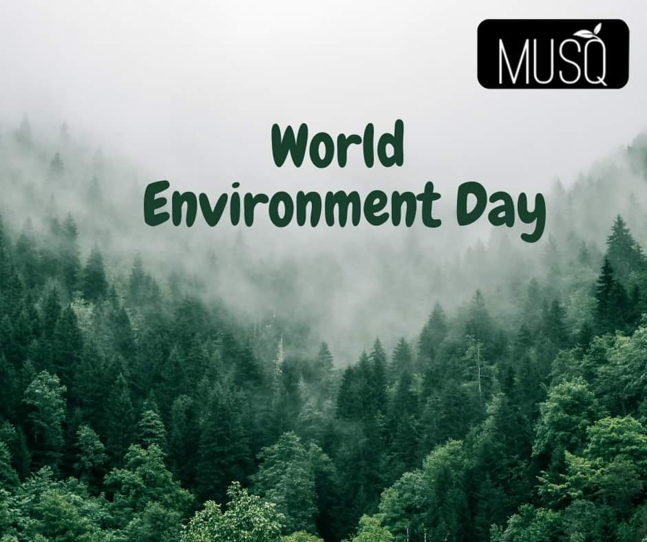 MusqCosmetics's tweet photo. Let us give our coming generations a healthier and happier environment to have a beautiful life… Best wishes on World Environment Day...

#worldenvironmentday #environment #GoGreen  #EnvironmentDay #loveislove 
#women #SaxwahaForest #WorldEnvironmentDay
#ClimateAction https://t.co/6I0tksPjWZ