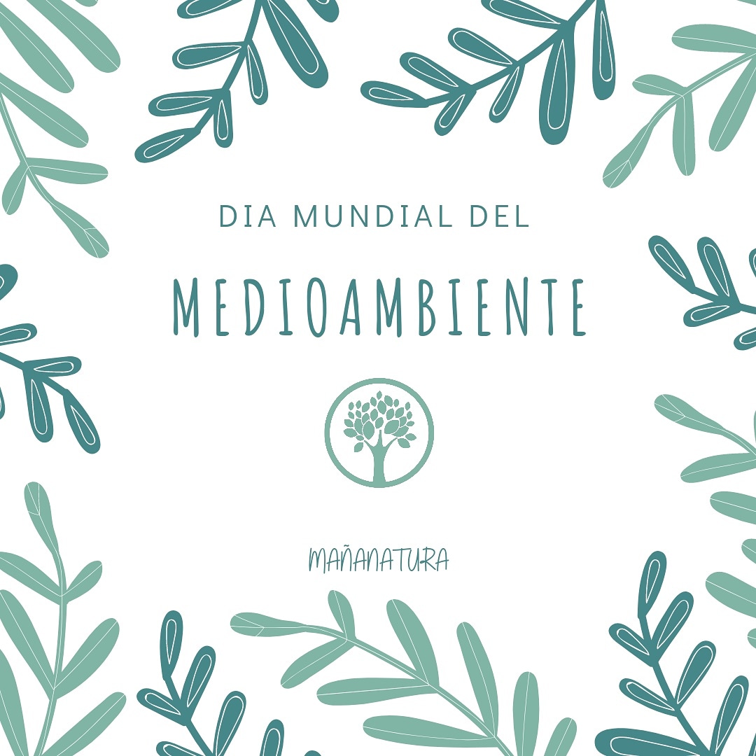 mananatura_shop's tweet photo. https://t.co/WwhfVtZJMC