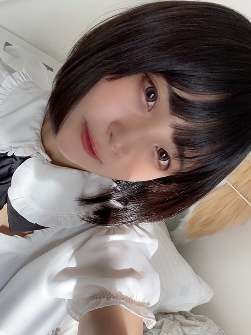 コスプレイヤーやよっぺ。のTwitter画像45