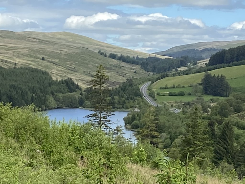 protocolsmithy's tweet image. 