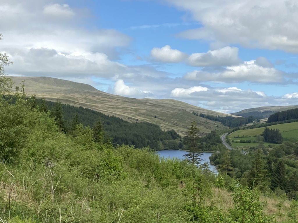 protocolsmithy's tweet image. 