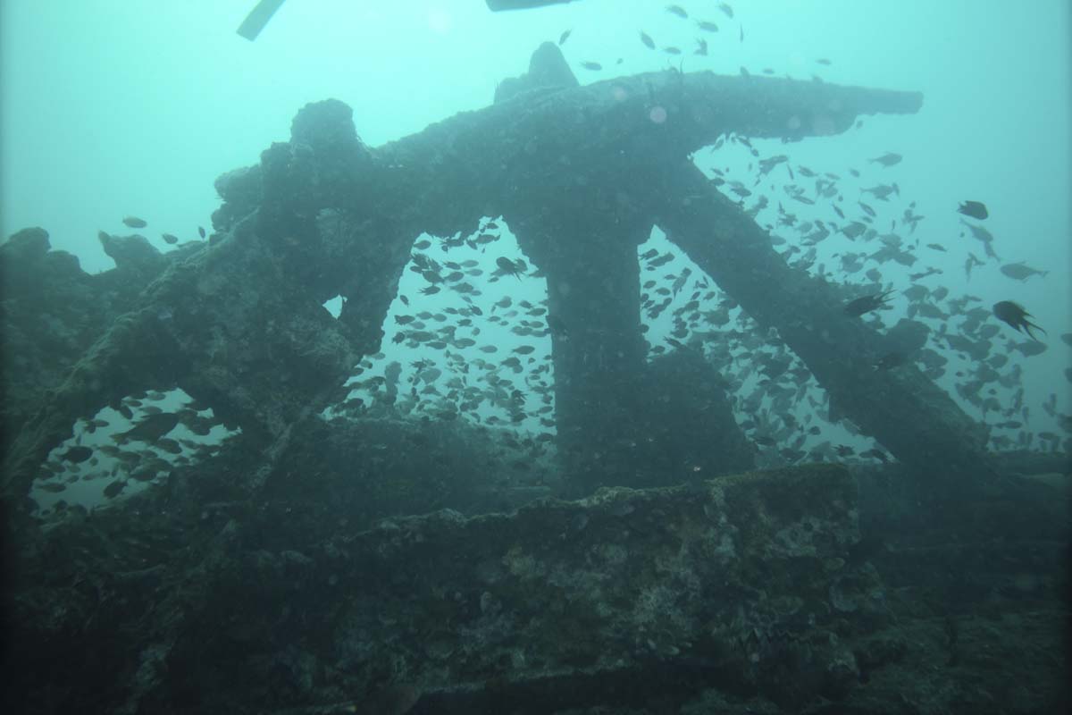 SimilanDiveTour's tweet photo. Boonsung Wreck Khao Lak is the perfect place to finish a Similan liveaboard. Honeycomb Morays, porcupinefish, lionfish, scorpionfish, nudibranchs, snapper, &amp; barracuda. 
https://t.co/4kQ4Oy1BKi
#marinelife #sealife #scuba #notroublesjustbubbles #ntjb https://t.co/DdNr9B4sy3